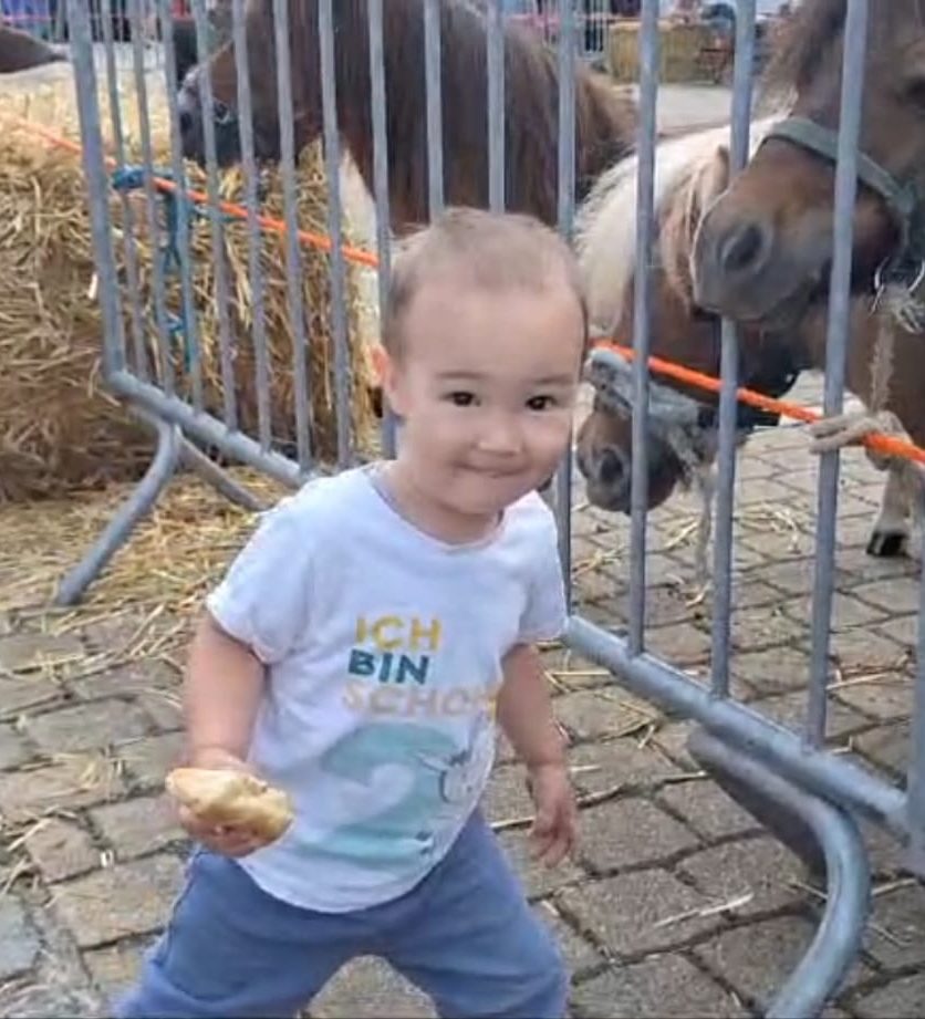 Ponys mit Stroh füttern!!!! :-)