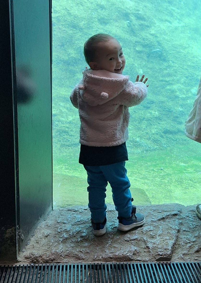 Tu régardes avec moi, papa?
